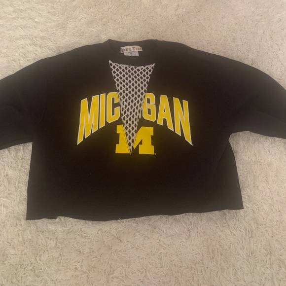 University of Michigan cropped champion sweatshirt - Picture 2 of 5